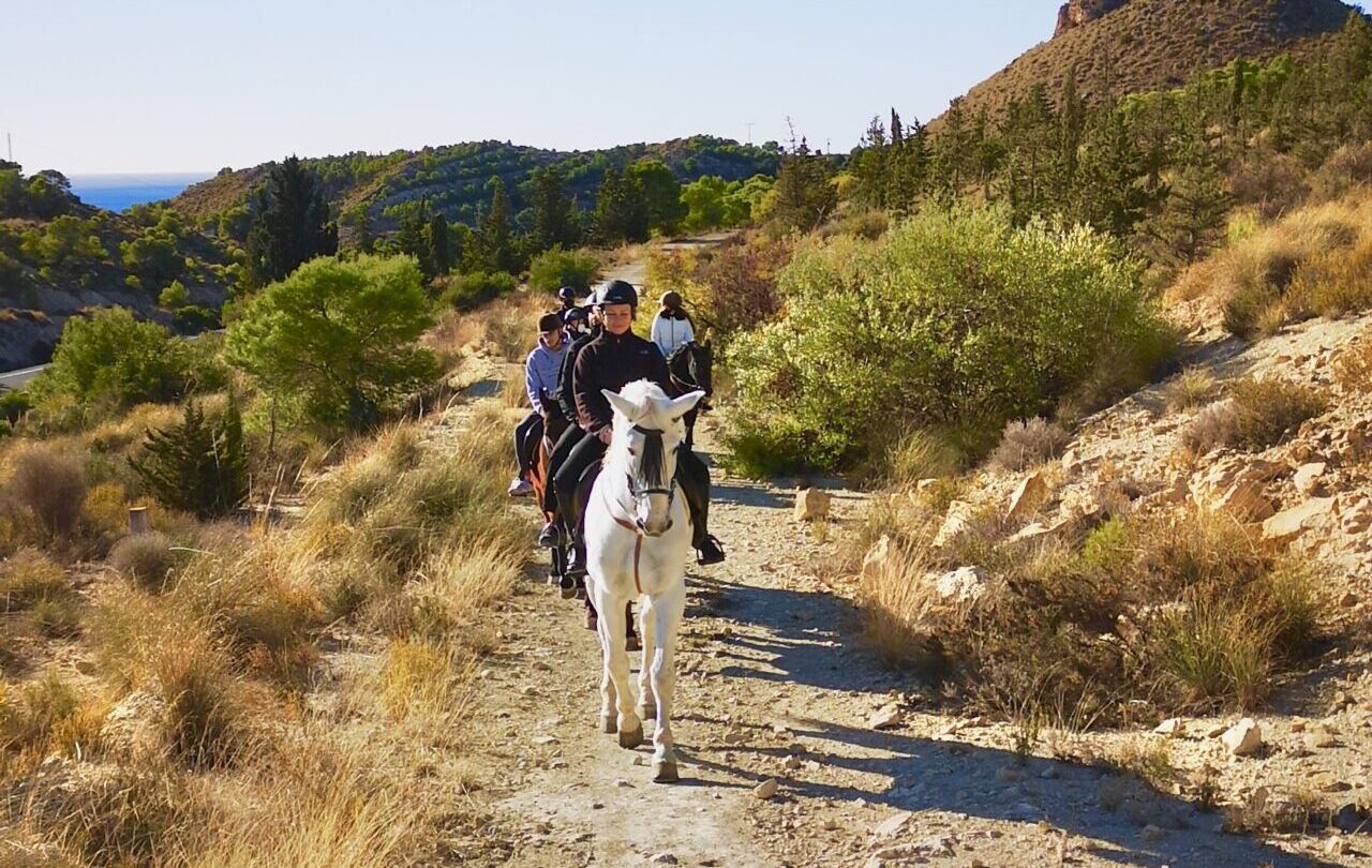 ruta-caballo-60-5-benidorm-fiesta