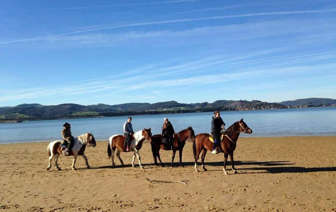 ruta-caballo-playa-3-bendiorm-fiesta