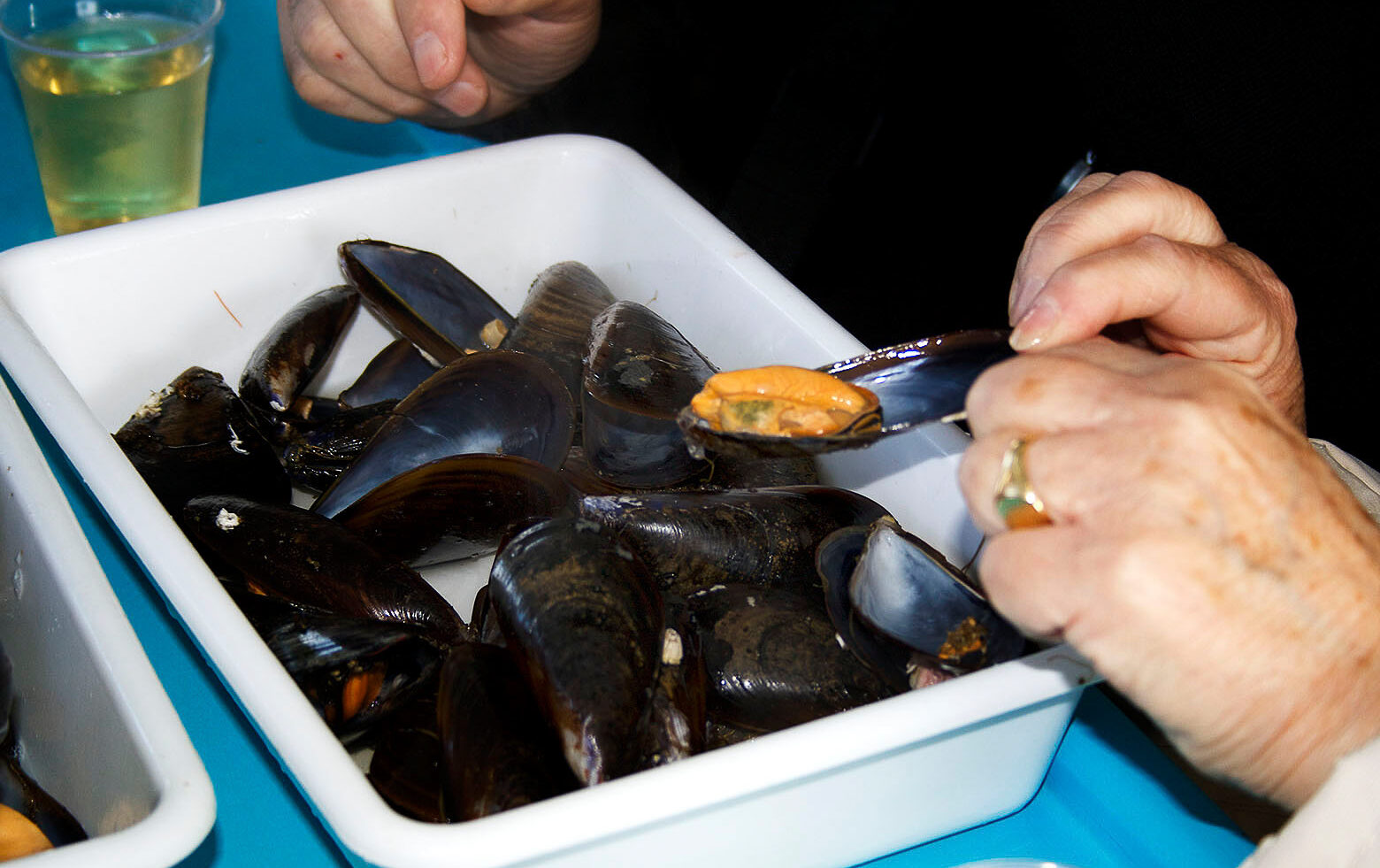 barco-cata-mejillones-3-alicante-fiesta